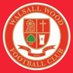 𝐖𝐚𝐥𝐬𝐚𝐥𝐥 𝐖𝐨𝐨𝐝 𝐅𝐂 (@WalsallWoodFC) Twitter profile photo