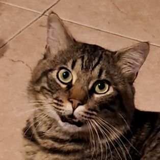 PaoloOrr12's profile picture. 