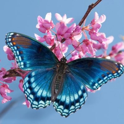 ashleystabo's profile picture. 