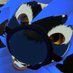 Zackoreo (@kinkynardo) Twitter profile photo Zackoreo (@kinkynardo) Twitter profile photo