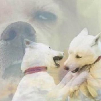 nnnDion231's profile picture. アカウントはクリエイターの追跡に使用されます。追跡しないでください(_ _).｡o○