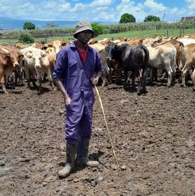 VetKyalo's profile picture. 