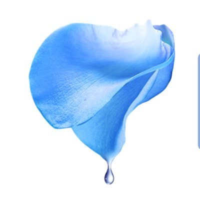 BAPUR is a project of https://t.co/V8qpB8xgR6 2023 about the use of bio-based materials for the removal of emerging pollutants in water.
