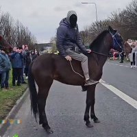 Brony Brah (@bronybrah) 's Twitter Profile