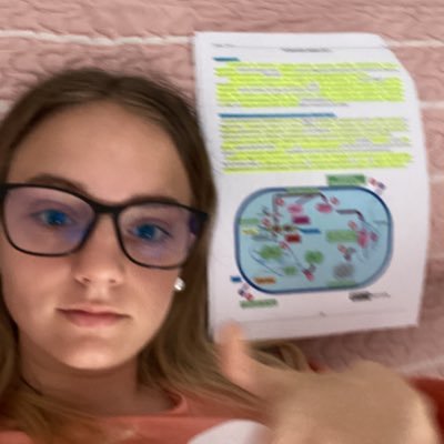 🚩