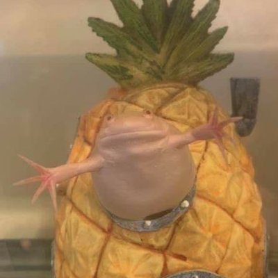 KatakSembelit's profile picture. 