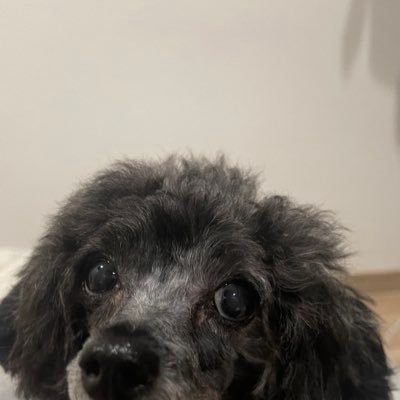 Ryusei83037779's profile picture. 早慶理系||就活情報集め | 総合商社、外資、パイロット志望 航大受験✈️ #アウトスタンディング