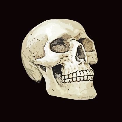 mandaepep's profile picture. put the beatles on, light the candles, say less.
