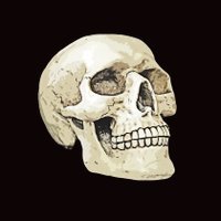Bracudaaaai💀 (@mandaepep) 's Twitter Profile