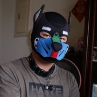 浪柴 (@shiba_inu1069) 's Twitter Profile