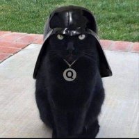 Muccer (@muccer16) 's Twitter Profile