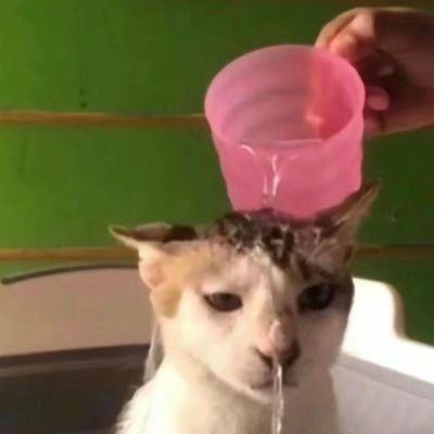 (´•ω•̥`)さんのプロフィール画像