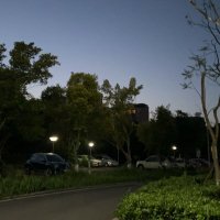 广州白云天河番禺花都男大 (@allty7777) 's Twitter Profile