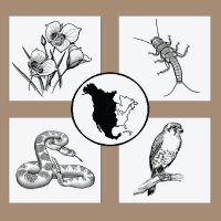 Western North American Naturalist (@wnanat) 's Twitter Profile Photo Western North American Naturalist (@wnanat) 's Twitter Profile Photo