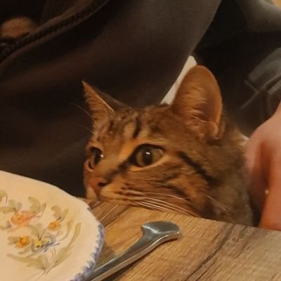 Wolfgang Amadeus Naingui Profile