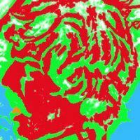 orangeplaidypus's profile picture. Keeper of Hawk Mountain.