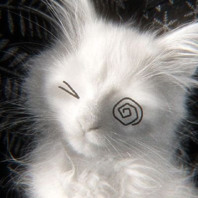 bthdsw21043's profile picture. Name Kin I am in Thailand I just applied And I have something to tell you I like loli 🥰🥰🤭