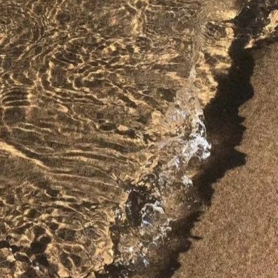 defonotaleesha's profile picture. 