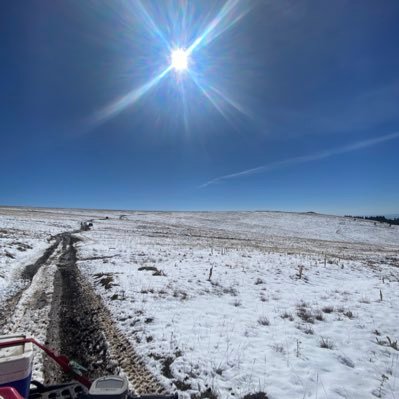 nkenaston83's profile picture. 