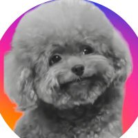 Thiago Santos Garcia (@thiagos52538347) 's Twitter Profile