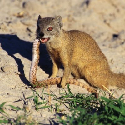 xPhylander's profile picture. Fear the Lord