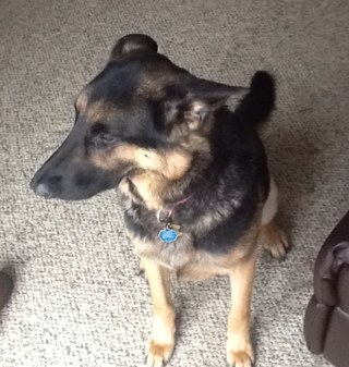 Ted_Covill's profile picture. 