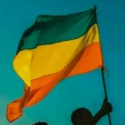 The_o_dros's profile picture. 