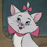Maryy (@sttudyymary) 's Twitter Profile