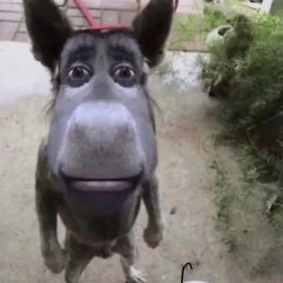 murilaoznx's profile picture. 