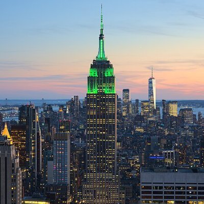 cowgoesyo's profile picture. 