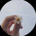 🤍🕊️ (@wor_99) Twitter profile photo 🤍🕊️ (@wor_99) Twitter profile photo
