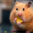 Kurtis Lloyd - @KLloyd111 - Twitter