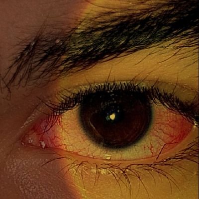 ln9989102384963's profile picture. 