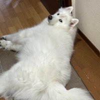 XLからL (@2___623) 's Twitter Profile