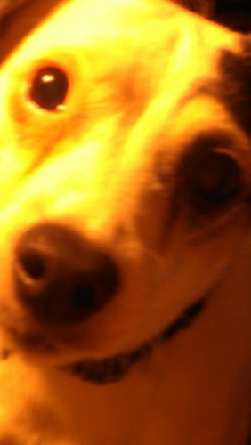 krosent's profile picture. Opinionated introvert. Which means those heated discussions mostly take place inside my head.