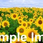 ladiesman9874's profile picture. .