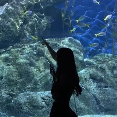 dmikadsk's profile picture. 