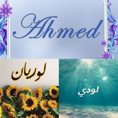 SemsmaSemsma4's profile picture. 