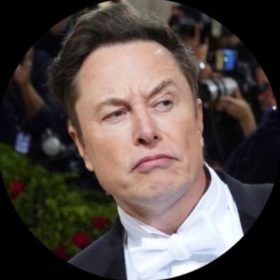 I’m the CEO, and Chief Designer of Space CEO and product architect of Tesla, This is my backup page