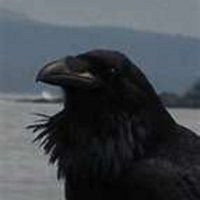 M.RavenanDubh (@ravenaki1) 's Twitter Profile Photo