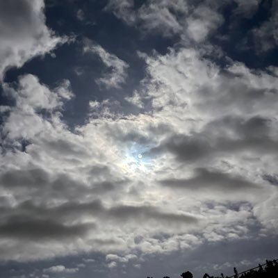 yowx1's profile picture. 