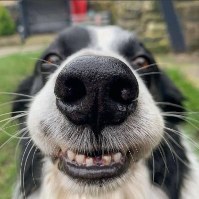 TessaF43314's profile picture. I'm a little bit black and a little bit white and 100% American, no hyphen needed. 
I enjoy chewing on a bone of contention, but generally I'm harmless.