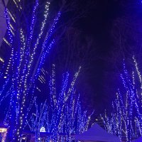 取引 (@torihiki16_r) 's Twitter Profile