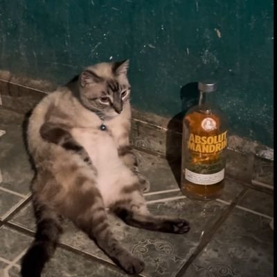 lpzcharlie47's profile picture. 