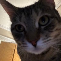 ellie gone wild (@ellovested) 's Twitter Profile