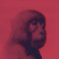 uglyburger0 (@uglyburger0) 's Twitter Profile Photo