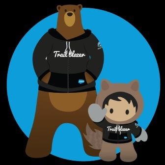 DevelopersDubai's profile picture. Dubai Salesforce Developers Group - UAE