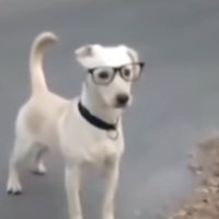 Whereskull (@kkullyy) 's Twitter Profile