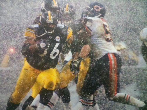 rockyraines's profile picture. 