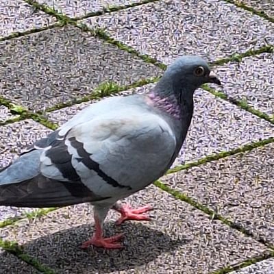 5xv07nn7Nk42088's profile picture. 高知